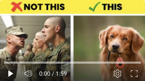 dog training cue vs command
